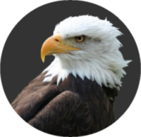 Heroic Living Nonprofit Website